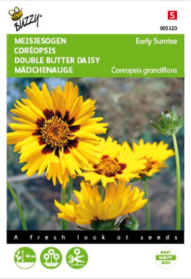 Thickseed Early Sunrise (Coreopsis) 25 seeds